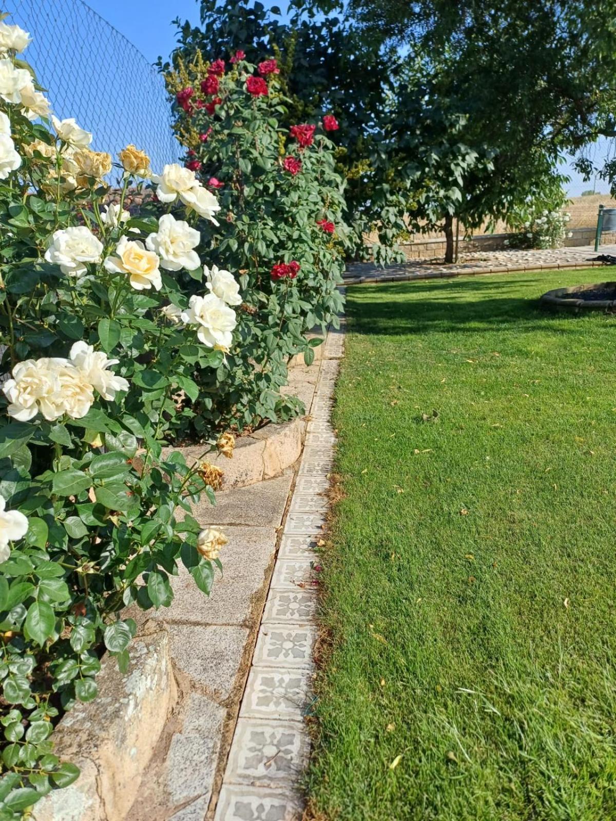 El Almendro Del Cura Villa Villarmayor  Exterior photo