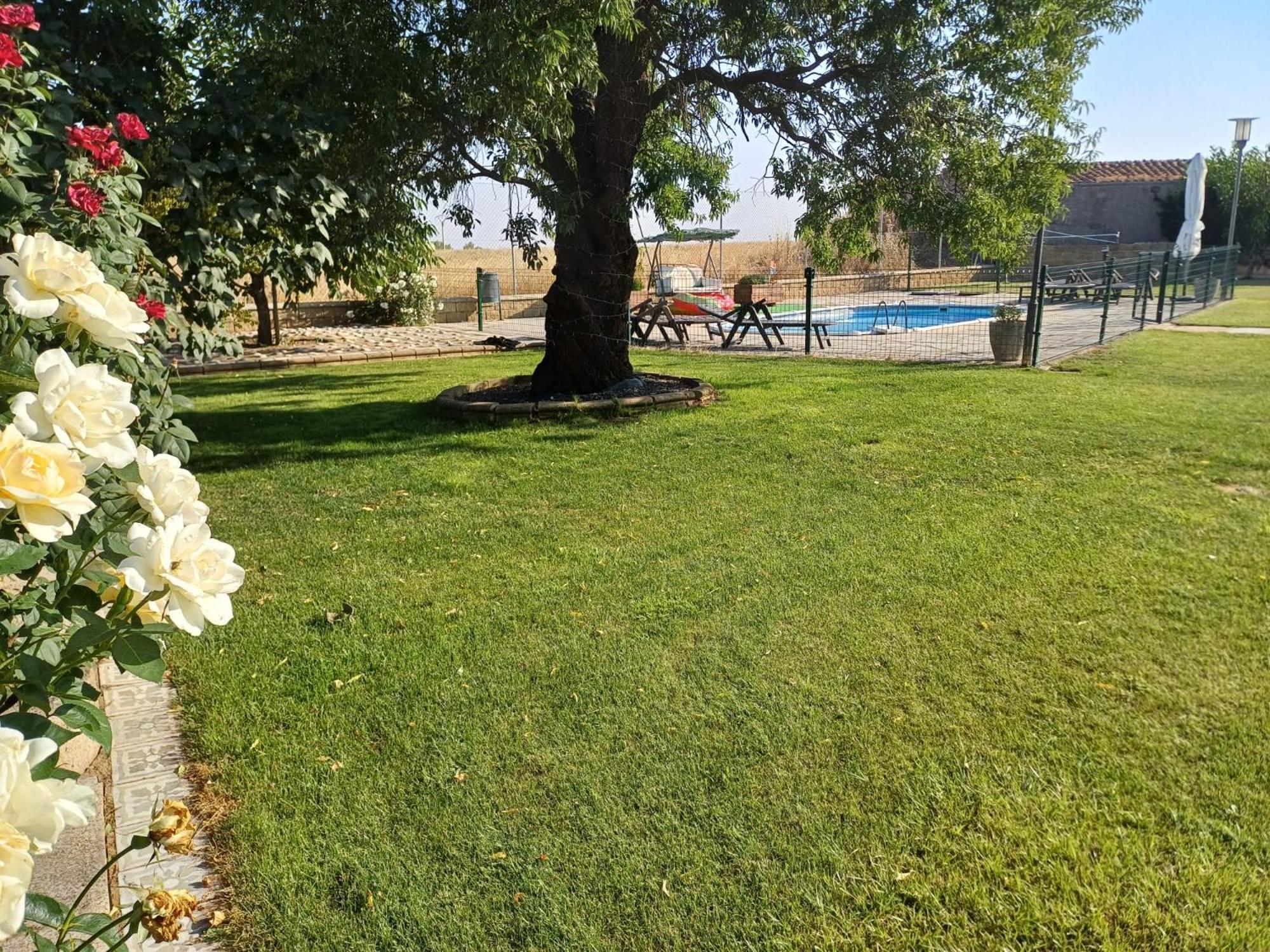 El Almendro Del Cura Villa Villarmayor  Exterior photo